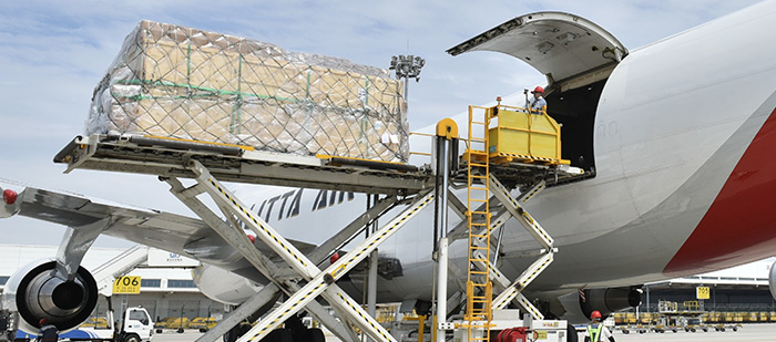 Embalaje y Envío Perfectos